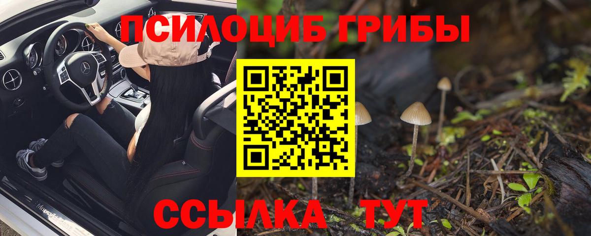 Троицк  Псилоцибиновые грибы MAGIC MUSHROOMS  Вход с VPN 