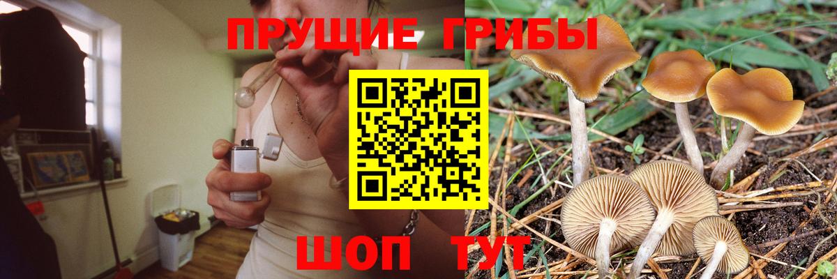 Псилоцибиновые грибы GOLDEN TEACHER Троицк